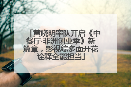 黄晓明率队开启《中餐厅·非洲创业季》新篇章，影视综多面开花诠释全能担当