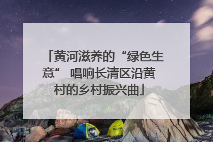 黄河滋养的“绿色生意” 唱响长清区沿黄村的乡村振兴曲
