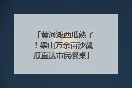 黄河滩西瓜熟了！梁山万余亩沙瓤瓜直达市民餐桌