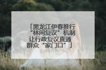 黑龙江伊春推行“林间复议”机制 让行政复议直通群众“家门口”