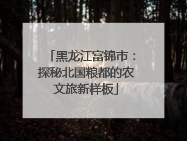 黑龙江富锦市：探秘北国粮都的农文旅新样板