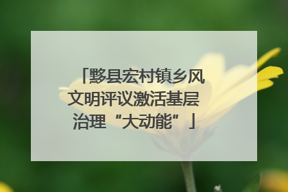 黟县宏村镇乡风文明评议激活基层治理“大动能”