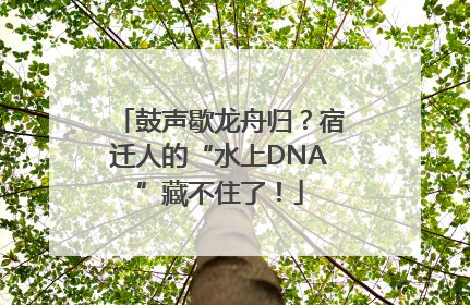 鼓声歇龙舟归？宿迁人的“水上DNA”藏不住了！