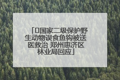 ﻿国家二级保护野生动物误食鱼钩被送医救治 郑州惠济区林业局回应