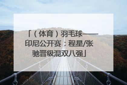 （体育）羽毛球——印尼公开赛：程星/张驰晋级混双八强