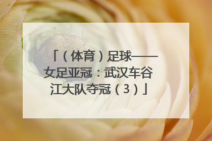 （体育）足球——女足亚冠：武汉车谷江大队夺冠（3）