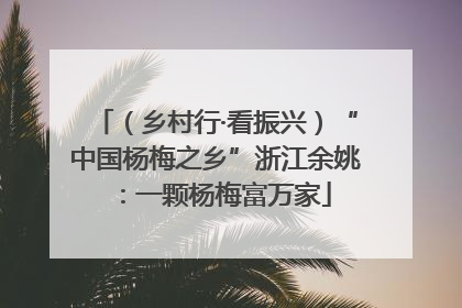 （乡村行·看振兴）“中国杨梅之乡”浙江余姚：一颗杨梅富万家