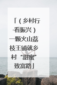 （乡村行·看振兴）一颗火山荔枝王铺就乡村“甜蜜”致富路