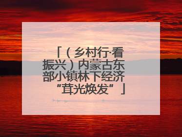 （乡村行·看振兴）内蒙古东部小镇林下经济“茸光焕发”