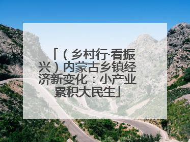 （乡村行·看振兴）内蒙古乡镇经济新变化：小产业累积大民生