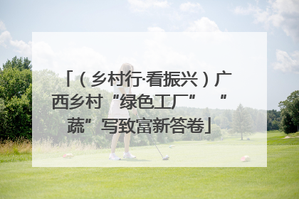 （乡村行·看振兴）广西乡村“绿色工厂” “蔬”写致富新答卷