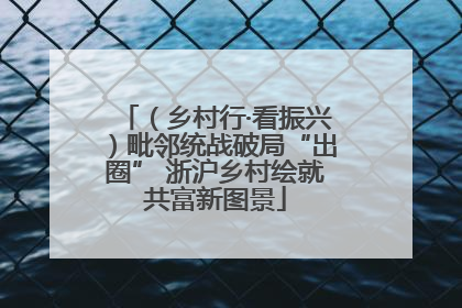 （乡村行·看振兴）毗邻统战破局“出圈” 浙沪乡村绘就共富新图景
