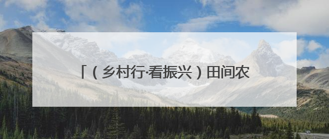 （乡村行·看振兴）田间农货直供“养老餐桌” 浙江缙云银发经济盘活山区资源