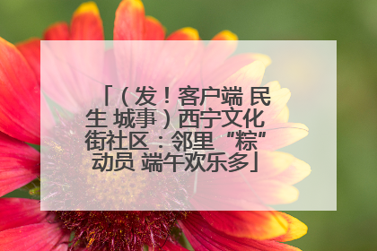 （发！客户端 民生 城事）西宁文化街社区：邻里“粽”动员 端午欢乐多