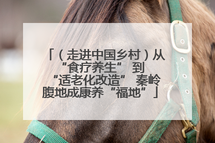 （走进中国乡村）从 “食疗养生” 到 “适老化改造” 秦岭腹地成康养“福地”