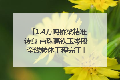 1.4万吨桥梁精准转身 南珠高铁玉岑段全线转体工程完工