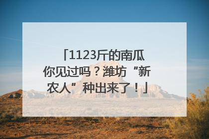 1123斤的南瓜你见过吗？潍坊“新农人”种出来了！