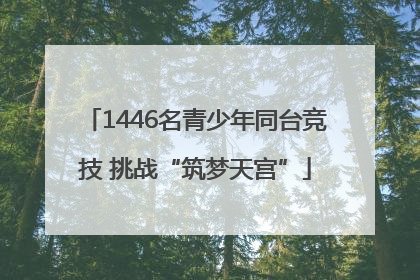 1446名青少年同台竞技 挑战“筑梦天宫”