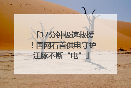17分钟极速救援！国网石首供电守护江豚不断“电”