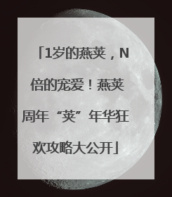 1岁的燕荚，N 倍的宠爱！燕荚周年“荚”年华狂欢攻略大公开