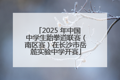 2025 年中国中学生跆拳道联赛（南区赛）在长沙市岳麓实验中学开赛
