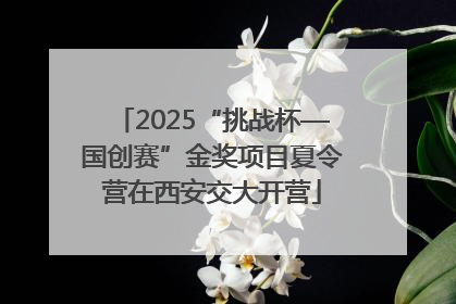 2025“挑战杯—国创赛”金奖项目夏令营在西安交大开营