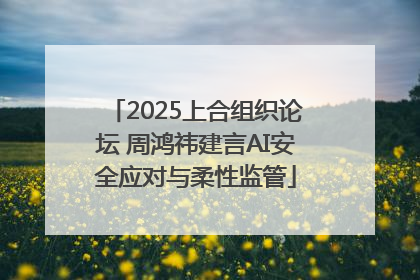 2025上合组织论坛 周鸿祎建言AI安全应对与柔性监管