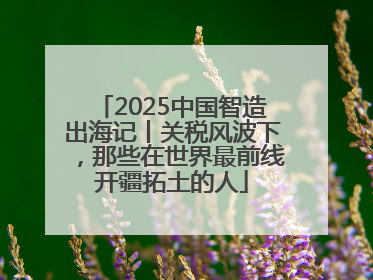 2025中国智造出海记丨关税风波下，那些在世界最前线开疆拓土的人