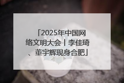 2025年中国网络文明大会丨李佳琦、董宇辉现身合肥