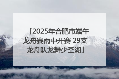 2025年合肥市端午龙舟赛雨中开赛 29支龙舟队龙舞少荃湖