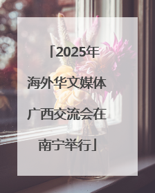 2025年海外华文媒体广西交流会在南宁举行