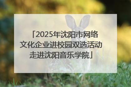 2025年沈阳市网络文化企业进校园双选活动走进沈阳音乐学院