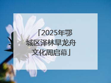 2025年鄂城区泽林旱龙舟文化周启幕