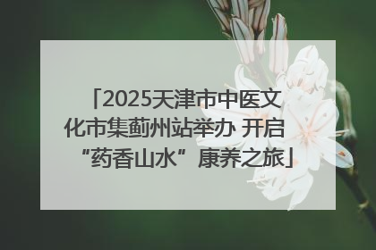 2025天津市中医文化市集蓟州站举办 开启“药香山水”康养之旅