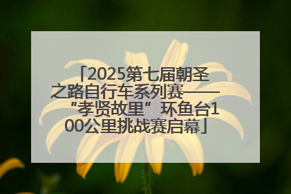 2025第七届朝圣之路自行车系列赛——“孝贤故里”环鱼台100公里挑战赛启幕