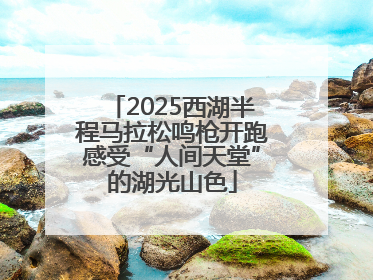 2025西湖半程马拉松鸣枪开跑感受“人间天堂”的湖光山色