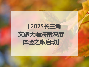 2025长三角文旅大咖海南深度体验之旅启动