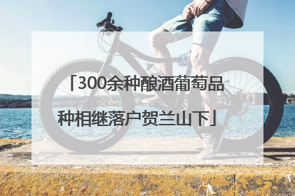 300余种酿酒葡萄品种相继落户贺兰山下