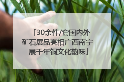 30余件/套国内外矿石展品亮相广西南宁 展千年铜文化韵味