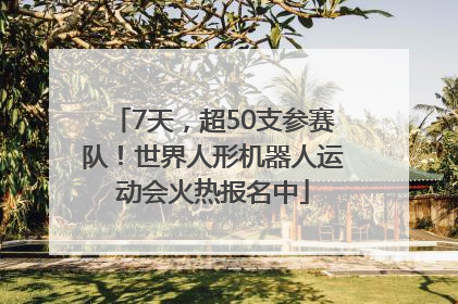 7天，超50支参赛队！世界人形机器人运动会火热报名中