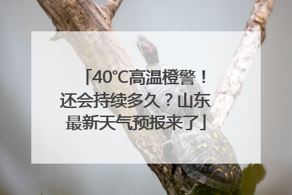 40℃高温橙警！还会持续多久？山东最新天气预报来了