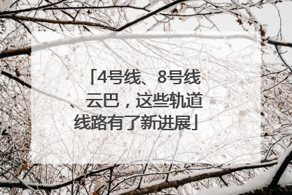 4号线、8号线、云巴，这些轨道线路有了新进展