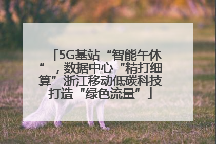 5G基站“智能午休”，数据中心“精打细算”浙江移动低碳科技打造“绿色流量”
