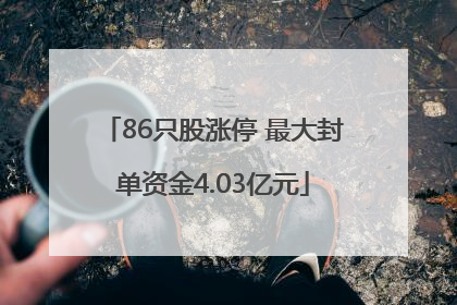 86只股涨停 最大封单资金4.03亿元