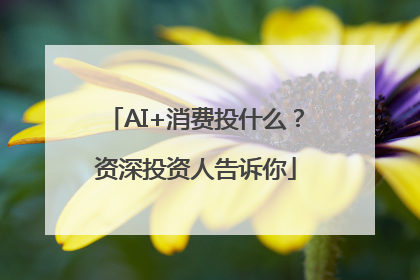 AI+消费投什么？资深投资人告诉你