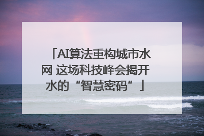 AI算法重构城市水网 这场科技峰会揭开水的“智慧密码”