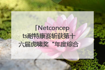 Netconcepts耐特康赛斩获第十六届虎啸奖“年度综合服务商”大奖