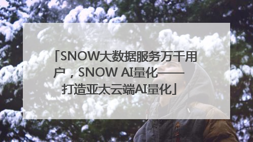 SNOW大数据服务万千用户，SNOW AI量化——打造亚太云端AI量化
