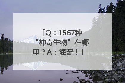 Q：1567种“神奇生物”在哪里？A：海淀！